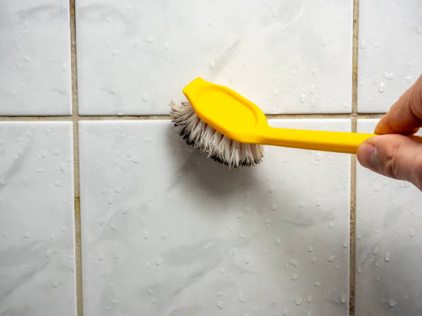 Best Emergency Mold Removal  in Herrin, IL