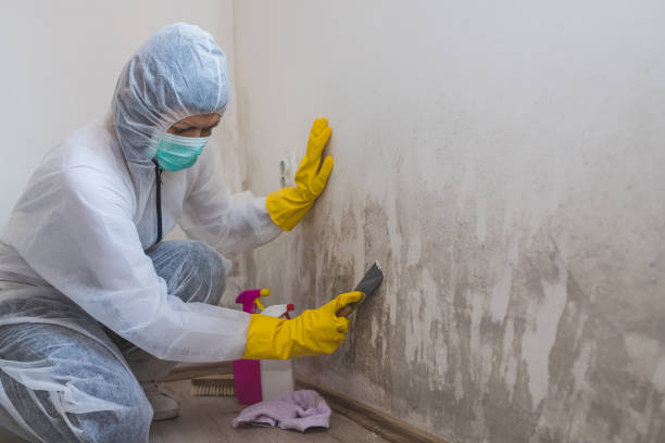 Water Damage Restoration in Herrin, IL