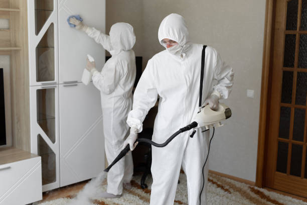 Best Toxic Mold Removal  in Herrin, IL