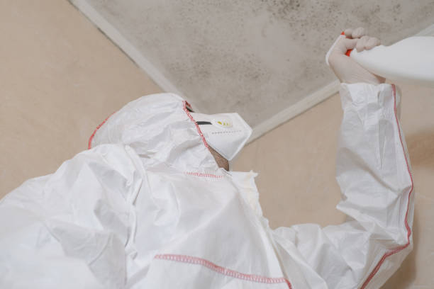 Best Crawl Space Mold Removal  in Herrin, IL